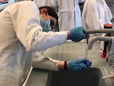 zajęcia laboratoryjne na ug 0