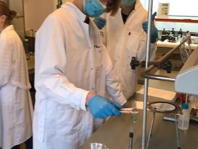 zajęcia laboratoryjne na ug 3