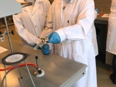 zajęcia laboratoryjne na ug 4