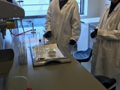 zajęcia laboratoryjne na ug 5