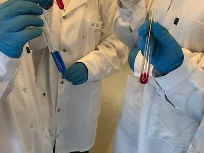 zajęcia laboratoryjne na ug 7