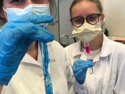 zajęcia laboratoryjne na ug 8